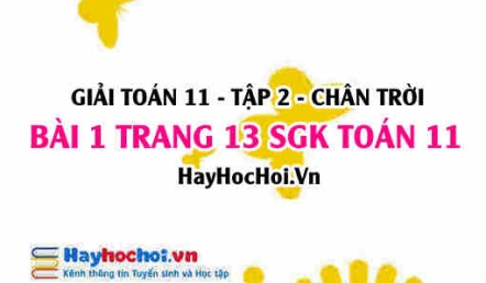 Bài 1 trang 13 Toán 11 tập 2 Chân trời sáng tạo